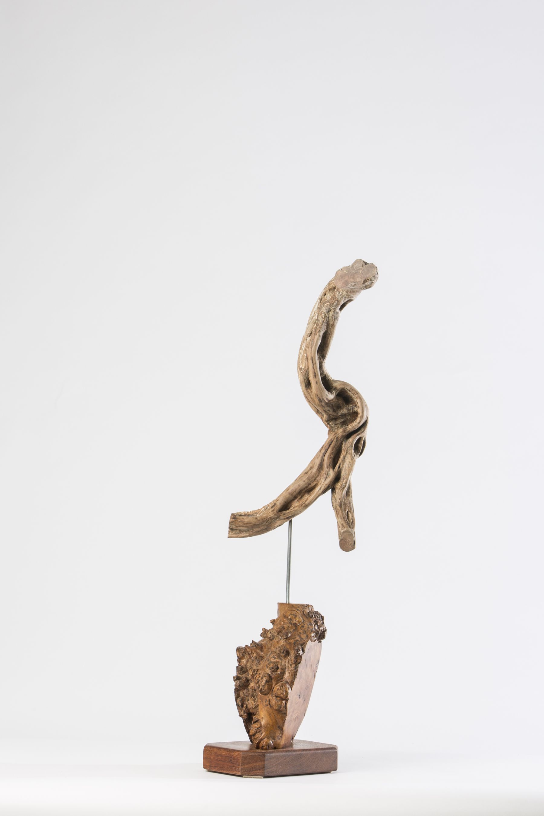 timber art 5 timber art 5